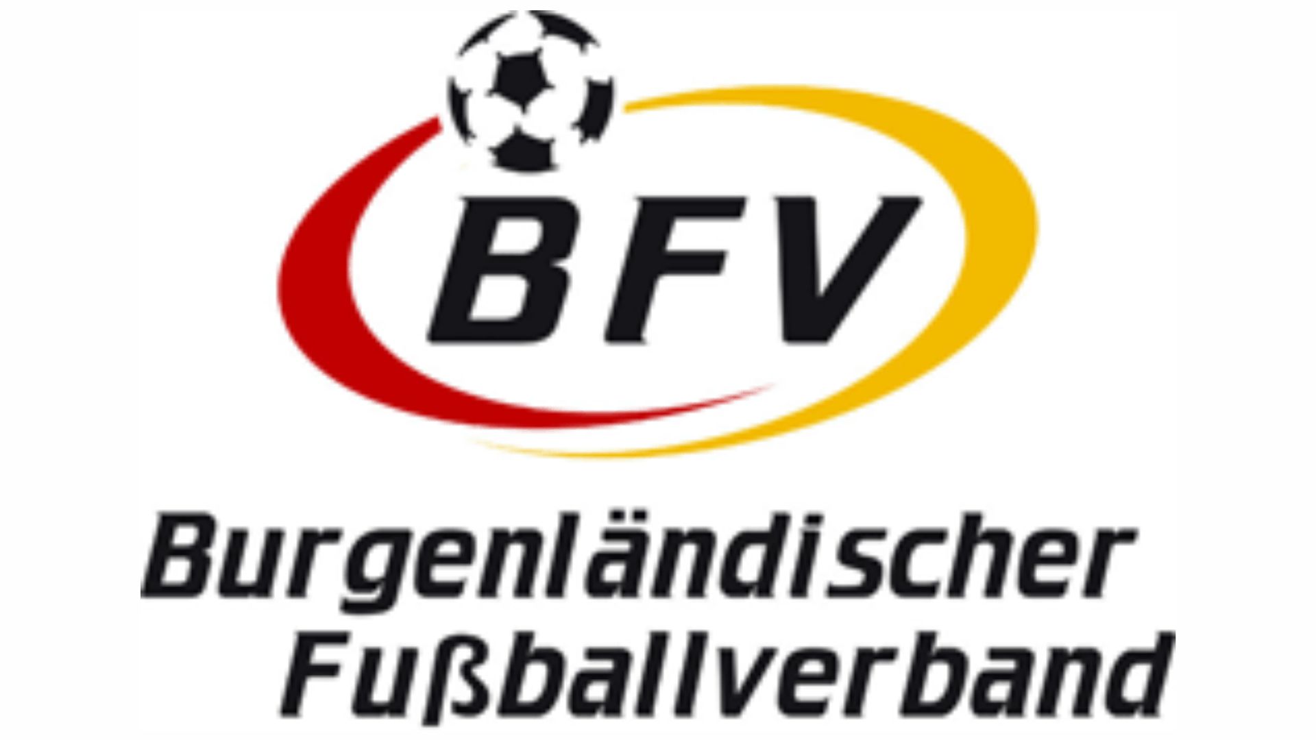 bfv logo