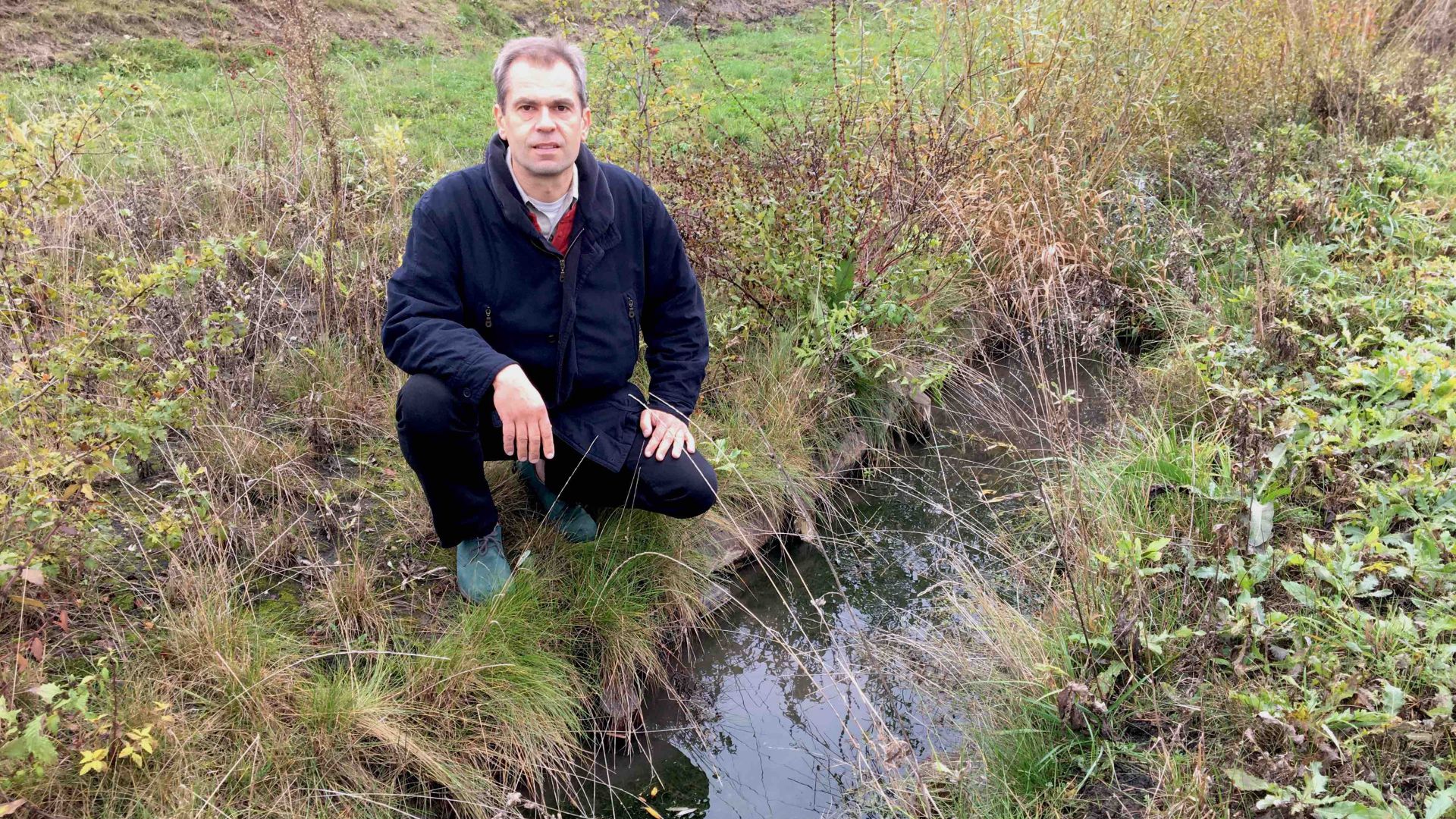 Welttag der Feuchtgebiete GRÜNE fordern mehr Schutz BKF TV