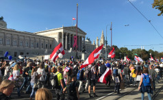 War da gestern in Wien eine Großdemonstration gegen die WHO?