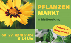 Pflanzenmarkt mit Pflanzentauschbörse am 27. April in Mattersburg