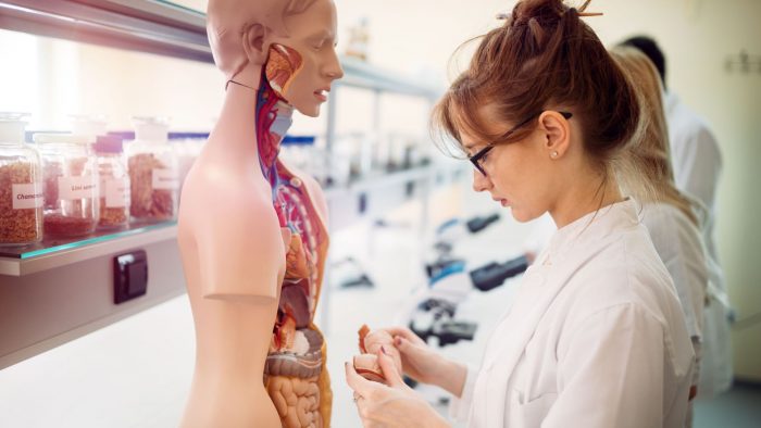 Starthilfe fürs Medizinstudium