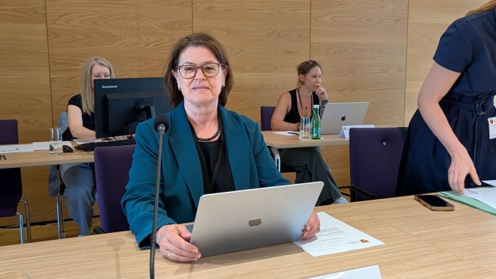 Untersuchungsausschuss „Neue Eisenstädter“: Paul-Kientzl bedauert Aussageverhalten von NE-Rechtsanwalt Weinrauch – verpasste Chance auf Aufklärung