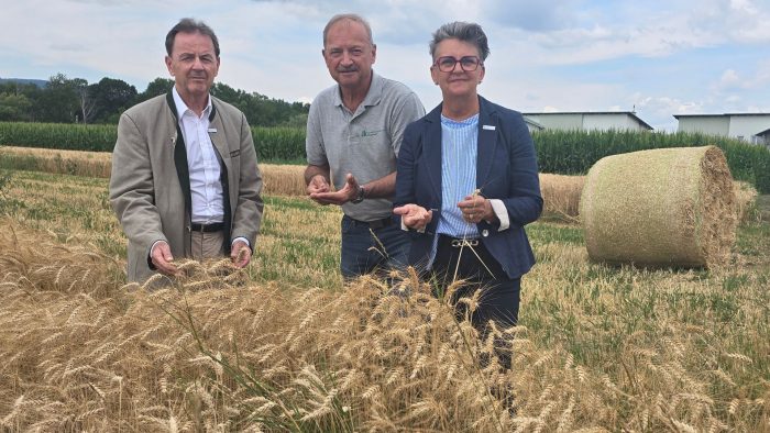 Heimischer Ackerbau am Limit